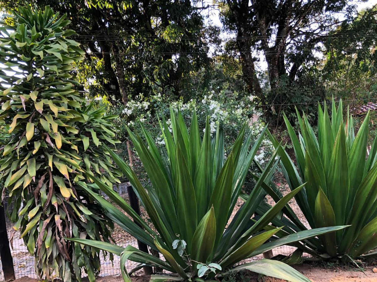 Vila Glaura ภายนอก รูปภาพ